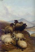 unknow artist Sheep 192 France oil painting artist